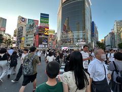 -涩谷区