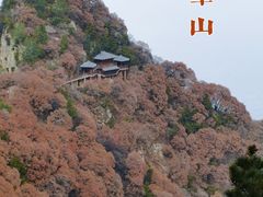 -少华山国家森林公园