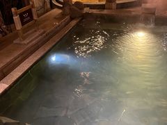 -汉拿山温泉度假酒店