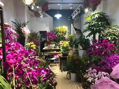 -溪岸路花鸟市场