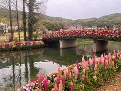 -苏州上方山国家森林公园