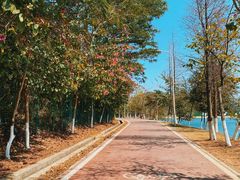 -凤岗南门山森林公园