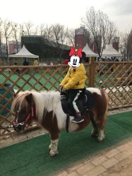 -萌宠亲子动物乐园(槐房万达店)