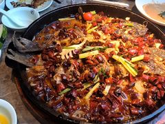 -老板恋上鱼(恒隆广场店)