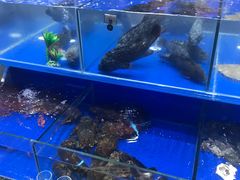 -船家渔(徐州北路店)