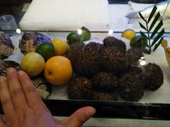 -月下料理(楷林IFC店)