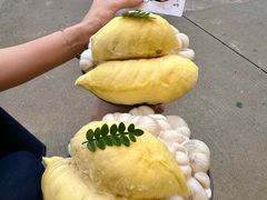 -蜀国大将老火锅(江北店)