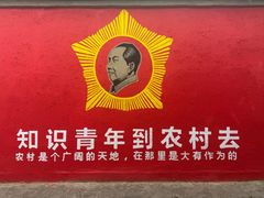 -特克斯八卦城