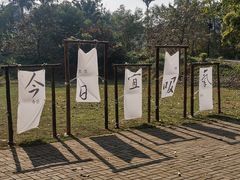 -南宁良凤江国家森林公园