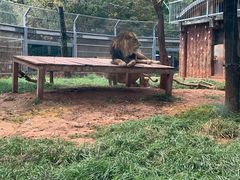 -昆明动物园