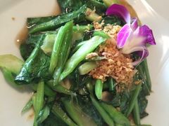 芥蓝-Daddy Nimman Chiang Mai