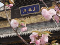 -长春观