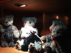 -济州岛泰迪熊博物馆