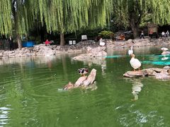 -团结湖公园