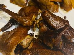 -食家鸽园
