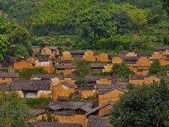 -杨家堂村