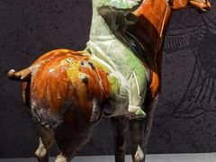 -中国江南水乡文化博物馆
