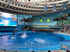 -海合安成都极地海洋公园
