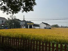-小陆莲花蟹园农家乐(莲花岛店)