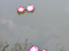 -印象普陀
