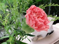 -潮州府·潮菜·砂锅粥(徐家汇店)