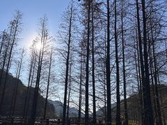 -广州市石门国家森林公园