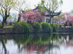 -无锡蠡湖国家湿地公园-蠡园