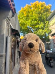 点击看大图 -温度金工银饰