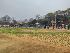 -无锡梅园公园