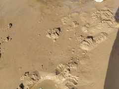 -日照海滨国家森林公园