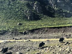 -扁都口生态休闲旅游区