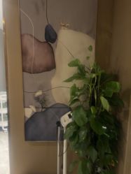 -Girmainy SPA杰美妮