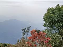 -梧桐山风景名胜区