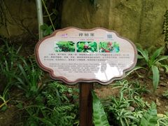 -南山植物园