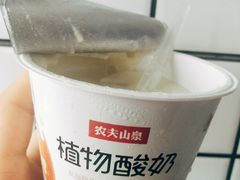 农夫山泉植物酸奶巴旦木口味-盒马鲜生(王府广场店)