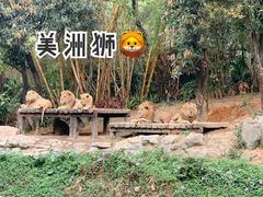 -广州长隆野生动物世界