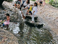 -成都市活水公园