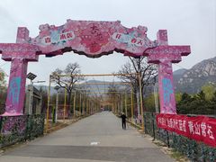 -北京凤凰岭