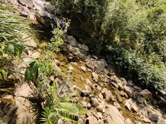 -广州白江湖森林公园