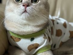 -良伴无忧宠物医院(泰欣嘉园店)