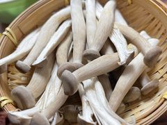 -菌极鲜野生菌火锅店(阳明祠店)