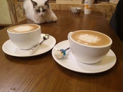 -猫色咖啡·猫咖