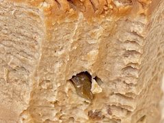 -BanCake·法式千层·拿破仑專門店