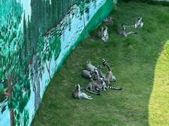 -西霞口神雕山野生动物世界