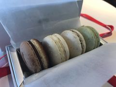 -BLACKSWAN黑天鹅(环球店)