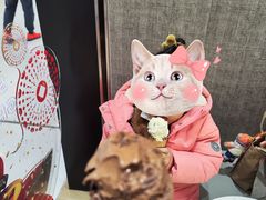 -GODIVA(王府井apm店)