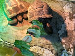 -上海昆虫博物馆