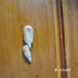 这包瓜子是楼下爱客天天超市打折第一次买的