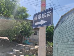 -大岭沟猕猴桃谷风景区