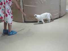 -藏猫猫咖啡主题馆(中央大道店)